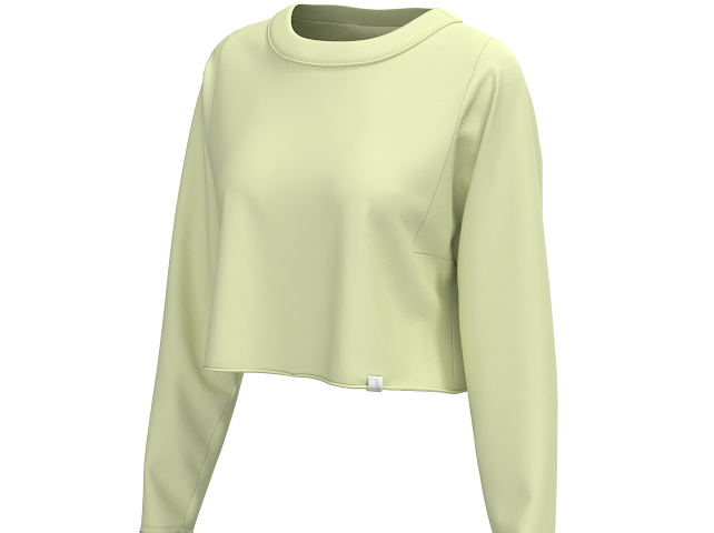 LG BOXY CROP LS TEE LTCH